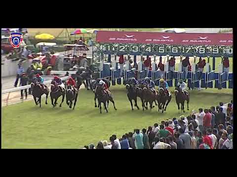 RM11 R6 | Pera Palace | D.Holland