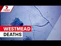 Two Deaths At The Children S Hospital At Westmead Linked To Mould Outbreak 7NEWS