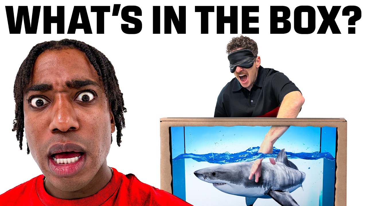 What's In The Box Challenge