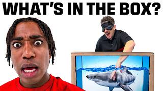 What's In The Box Challenge MQDEFAULT Thumbnail