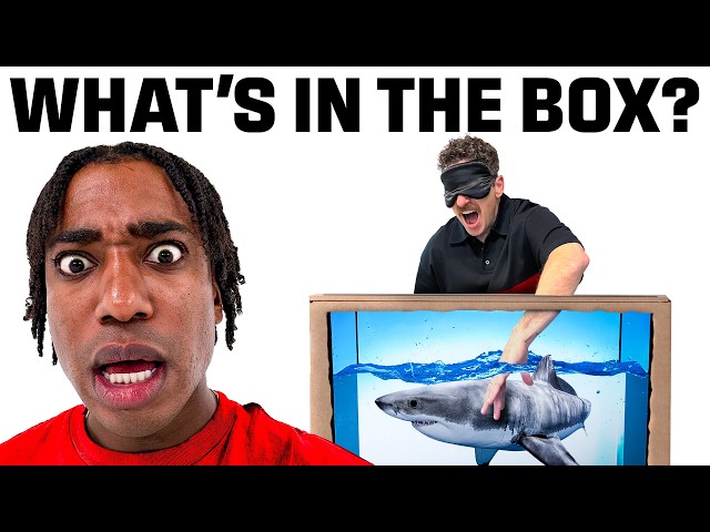 What's In The Box Challenge SDDEFAULT Thumbnail