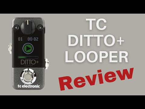 Ditto+ Looper Review, Demo & Tips - The Best 1-Button Looper?