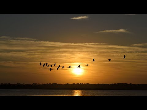 Radical Fantasy - Dreaming Awake [Progressive House]