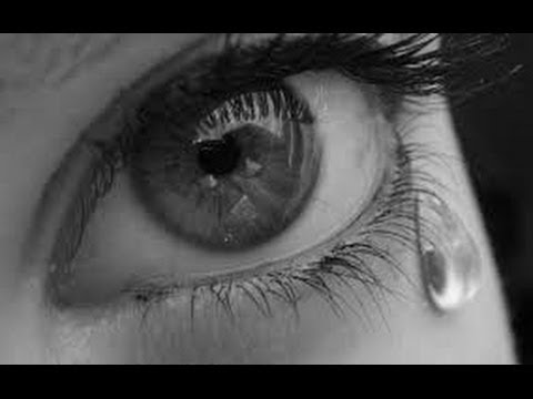 Red13 feat. Sonya Philip - Chinta Royala