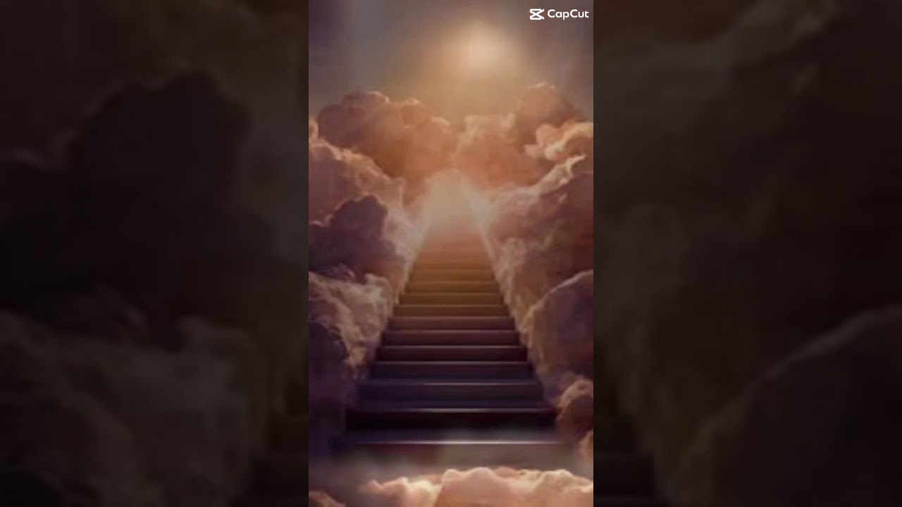 I feel sorry for this guy#sorry#hemightbedead