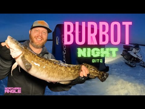 Catch and Cook Burbot - East Trout Lake Saskatchewan - (BURB ALERT)