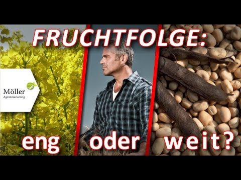 Ernte - Erlöse im Ackerbau mit Fruchtfolge-Check steigern - Ackerbau Praxistipps - gekürzt