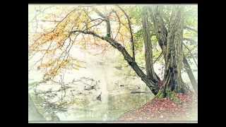 *Che Favola Sei* - *Pooh*