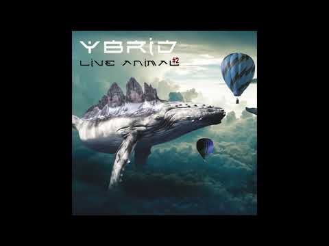 download lagu mp3 mp4 Ybrid, download mp3 Ybrid free download mp3, download mp3 Ybrid