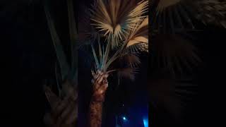 Download lagu Dzikir hasbunallah #fypシ #pendosahijrah #dosa #doa #upsc #uas #ustadabdussomad mp3 Download lagu Dzikir hasbunallah #fypシ #pendosahijrah #dosa #doa #upsc #uas #ustadabdussomad mp3