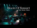 Bloom Of Bansuri | Flute • Stories • Poems | Harshit Shankar Flute | Hari ji Medley | 