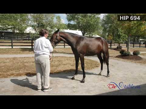 Hip 694, Lexington Selected Pre-Sale 2019, TheStable.ca
