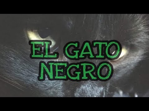 EL GATO NEGRO