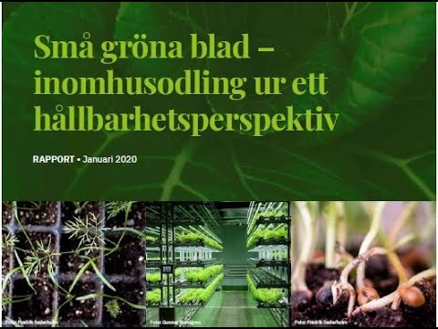 , title : 'Gunnar Rundgren presenterar MatLusts rapport om Inomhusodling ur ett hållbarhetsperspektiv'