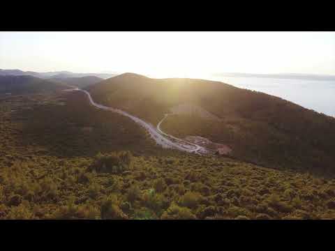 DANZA DEL GATO KMV28 Orquesta  - Klaus Martínez