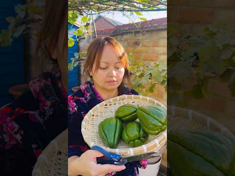 #Skush #Karela #fressh vegetables #organicgardengrowing #ukvlog #2025🇬🇧