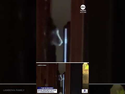 Bear climbs through window in California for sweet treat