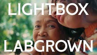 Lightbox Jewelry The Lab-Grown Diamond Tennis Bracelet