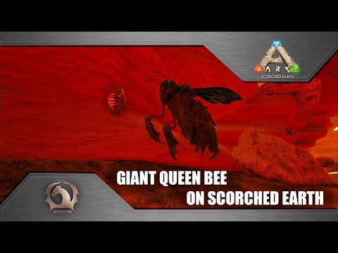 Ark Survival Evolved - Giant Queen Bee on Scorched Earth