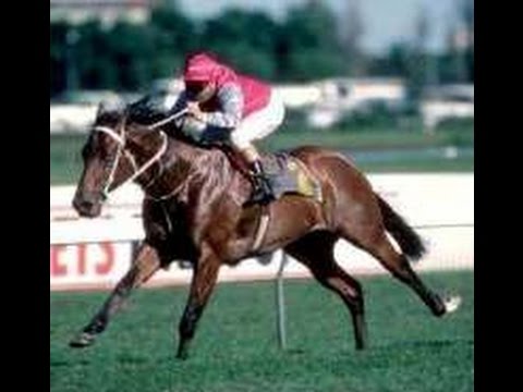 1988 AJC Galaxy _ Snippets