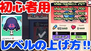 【初心者用】あれをしないとペットのレベルは上がりません‼【バトルペット/Battle-Pet/ロブロックス/Roblox】