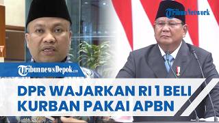 Respons DPR saat Prabowo Beli 1.098 Ekor Sapi Pakai Dana APBN Rp100 Miliar, Sebut Hal Wajar