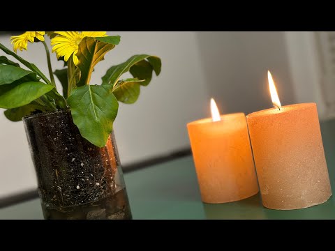 Пересадка квітів/ для краси вашого дому/ краса для душі