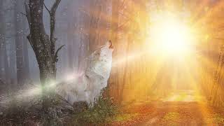 WOLFGANG PETRY   Der Himmel brennt