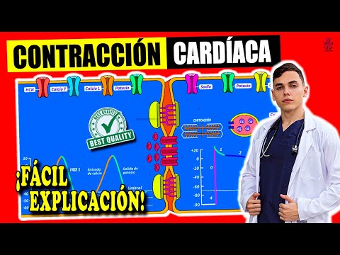 CARDIAC MUSCLE CONTRACTION: Coupling, Excitation, Action Potential - CARDIAC PHYSIOLOGY