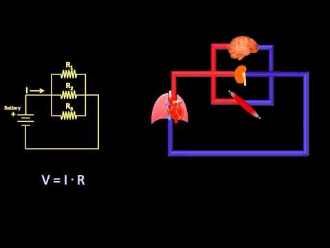 Ohm's Law and Hemodynamics (Fluid Mechanics - Lesson 9)
