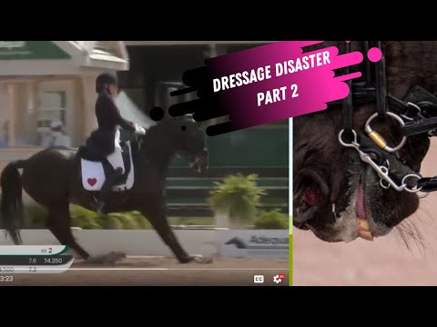 Dressage Disaster P2: Valentine Loses Heart - Rolkur, Anoxia & Trigger Stacking Explained