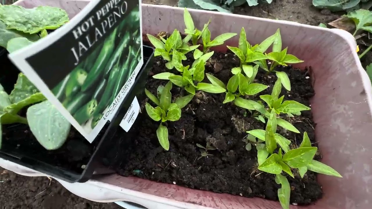 Así  los quedó La Casita En El Campo   🏕️ uvo Emergencia 🥹fue muy Rápido para Costruir 🖐