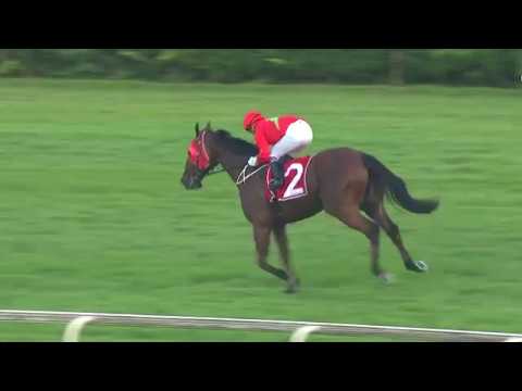 Lion City Cup 2019 (Aramco)