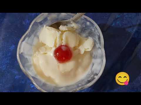 Homemade Vanilla ice cream 🍨 Manaswinis #manaswinisflavours