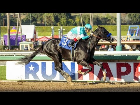 2022 Sham Stakes (G3) | Newgrange | Santa Anita Park | Bob Baffert |