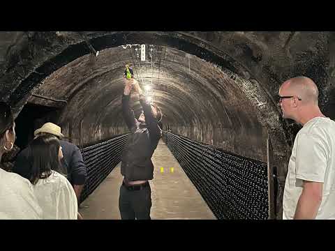 Promo video for Dutch cheese store - visit to Champagne region