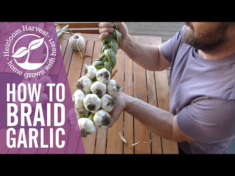 , title : 'How to braid garlic (including when to pick & how to clean)'