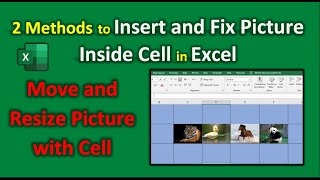 How to Insert Picture in Excel Cell  2 Methods to Insert and Fix Photo in Excel Cell