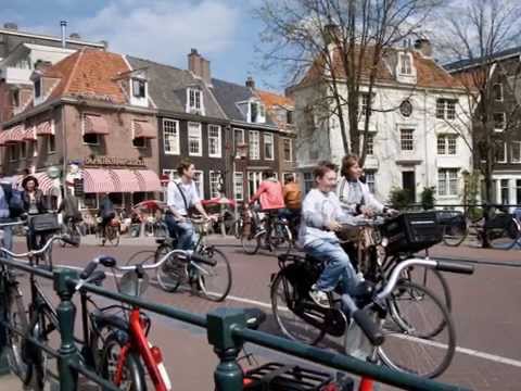 Dalius -  Amsterdamas