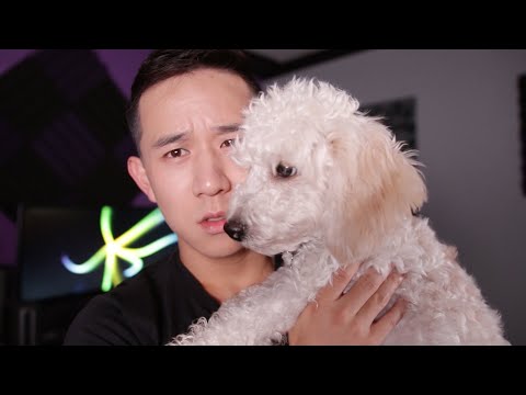 How Deep Is Your Love - Calvin Harris x Disciples (Jason Chen Cover)