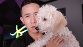 How Deep Is Your Love - Calvin Harris x Disciples (Jason Chen Cover)