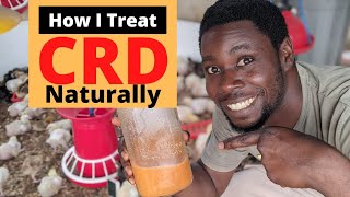 How to Treat CRD in Chickens | FAST NATURAL REMEDY FOR COUGH