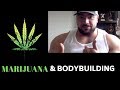 MARIJUANA & BODYBUILDING - PROS & CONS