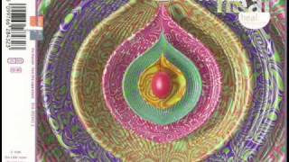 The Shamen - Heal (the Separation) (Awex Remix)