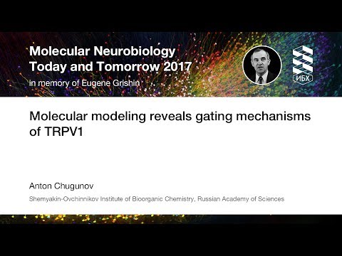 Molecular modeling reveals gating mechanisms of TRPV1