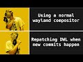 How I Obtain And Pick My Patches For DWL Also Why I Pick Them