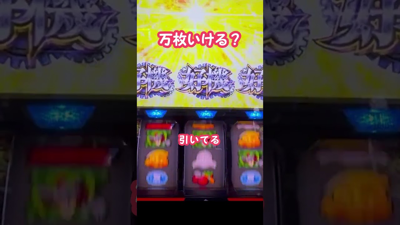 完走したら万枚!!ドキドキの瞬間