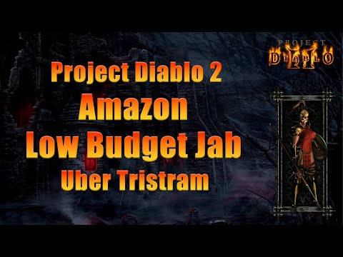 Project Diablo 2 Amazon — Jabbing Ubers on a Tight Budget