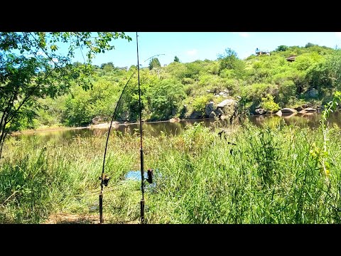 PESCA de CARPAS en el RIO Tanti. MUCHA ACTIVIDAD #fishing #cordoba #carpfishing 