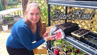 10 Seeds to Start Right Now in March 🌱(Flowers, Herbs & Vegetables)